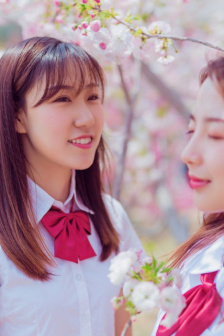 法老与众神在线观看完整免费